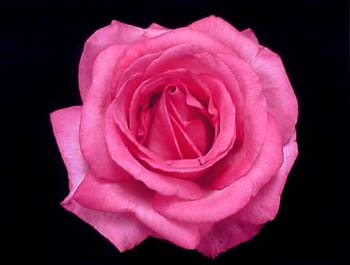 SignatureHT